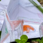 Conociendo los hogares de la naturaleza
