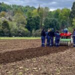 Aprender haciendo en terreno